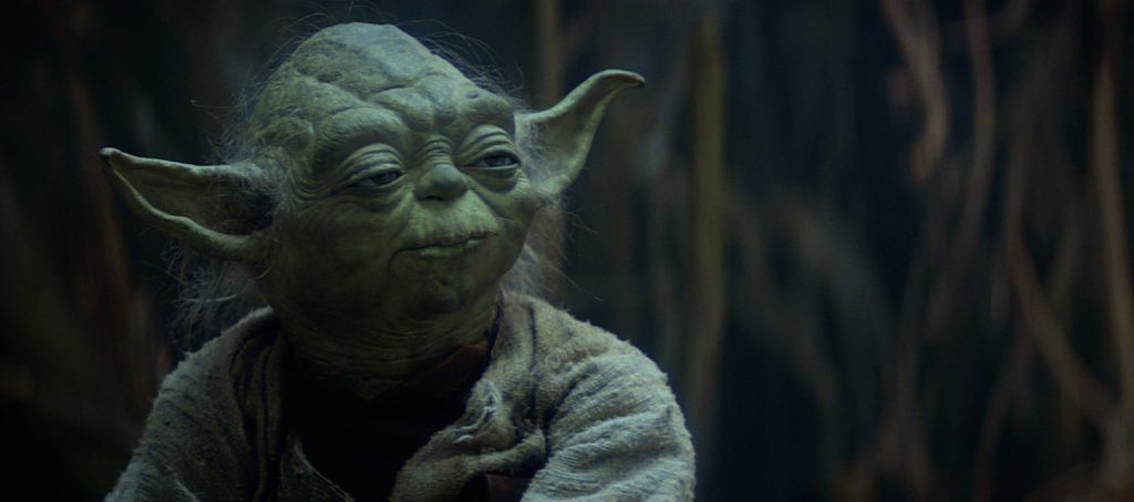 Yoda in the Swamp